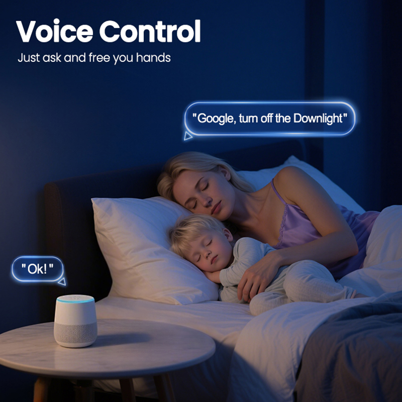 Prise intelligente Standard br - Zigbee Smart Plug Energy Monitor avis et prix